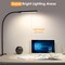LED Desk lamp with Clamp, Eye-Caring Clip Lights for Home Office, 3 Colors Full Brightness, Flexible Gooseneck USB Adapter Table Lamp, Black